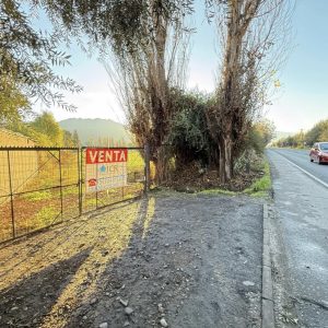 VENTA TERRENO EN CARRETERA SAN MARTÍN SAN FELIPE