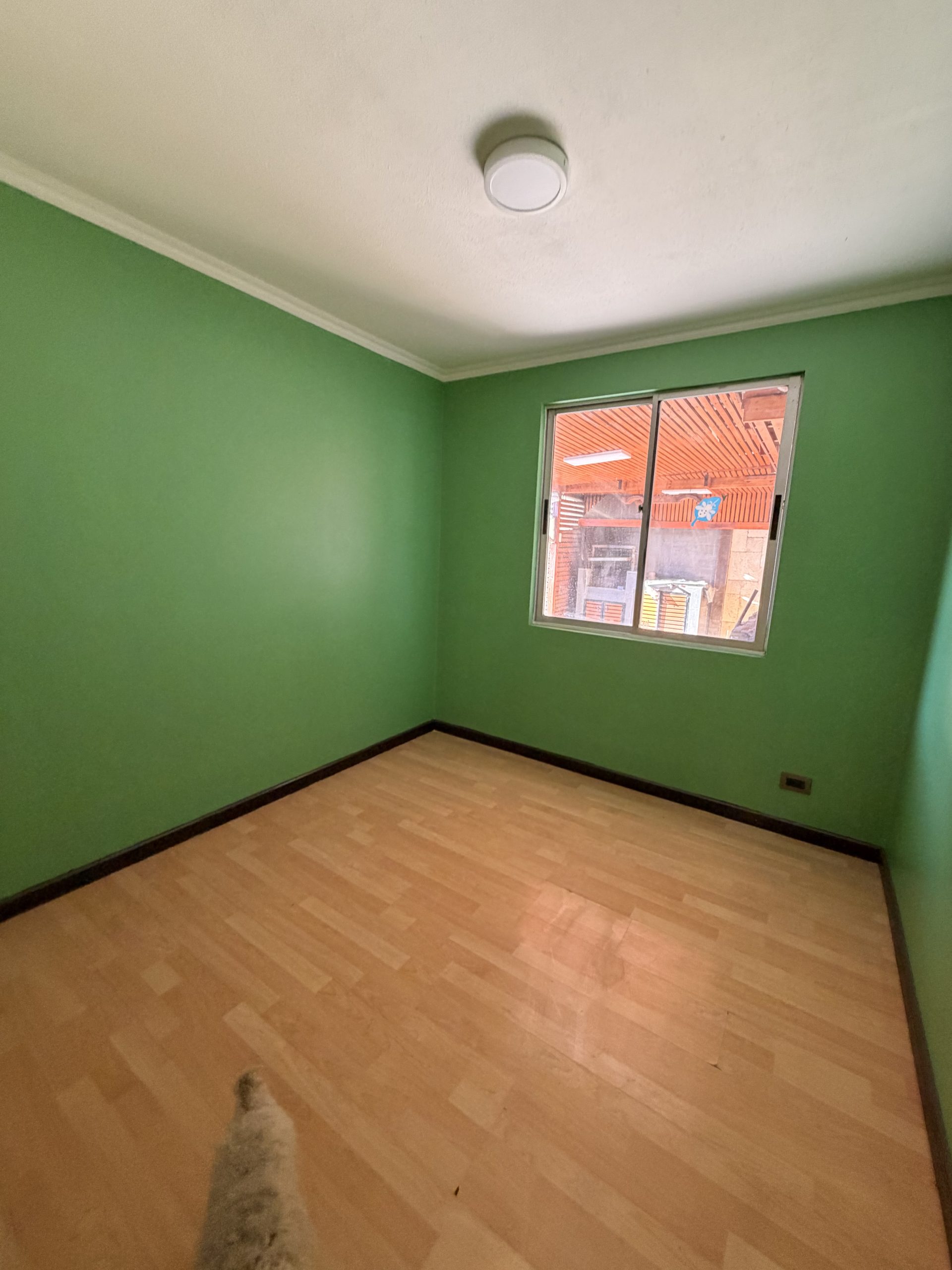 IMG 1681 scaled &raquo; Propiedades ICR