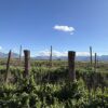 IMG 1983 &raquo; Propiedades ICR
