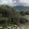 IMG 2956 &raquo; Propiedades ICR