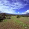 IMG 2987 &raquo; Propiedades ICR